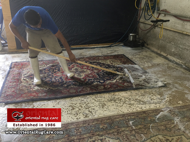 Eco Friendly Rug Cleaning Miramar