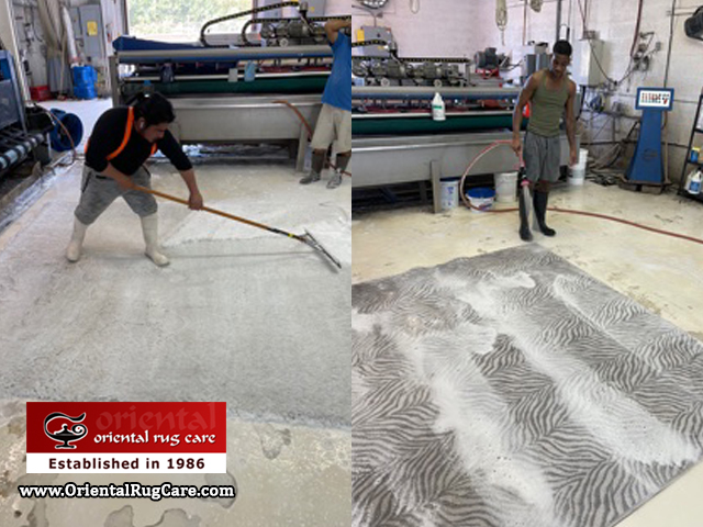 Modern Rug Washing Service Dania