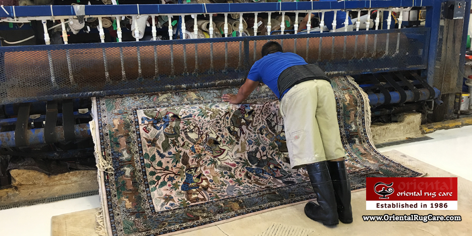 Oriental Rug Care Aventura