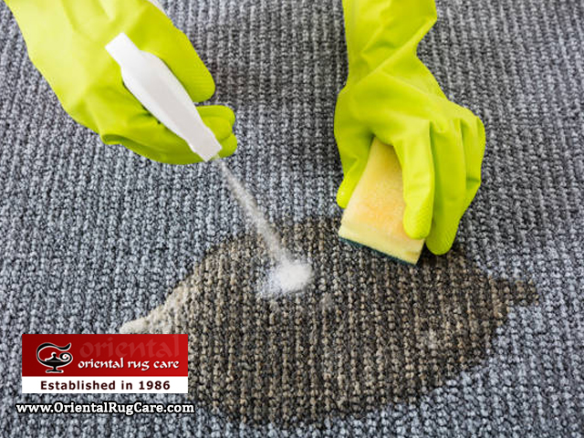 Pet Stain Removal from Rugs Miami Beach