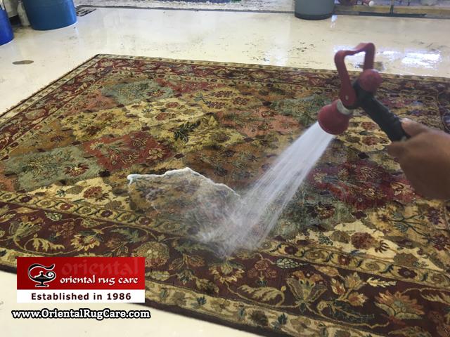 Rug Cleaning Service Broward