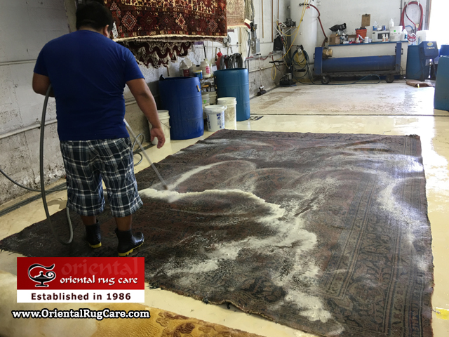 Antique Rug Care Miramar