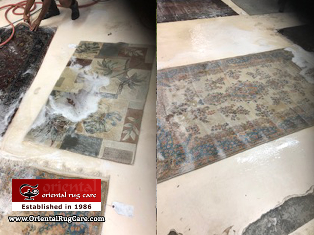 Area Rug Cleaning Service