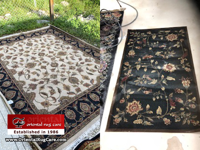 Best of Rug Care Plantation