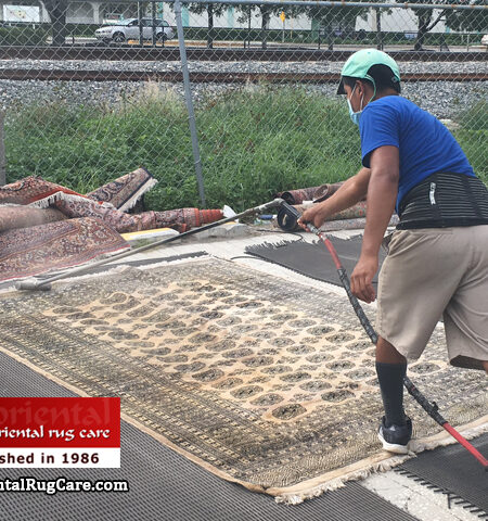 Dusting Process Fort Lauderdale