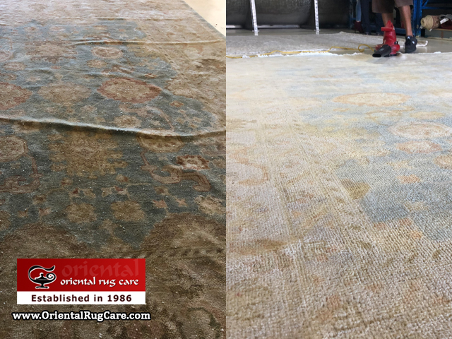 rug Dust Cleaning Process Parkland