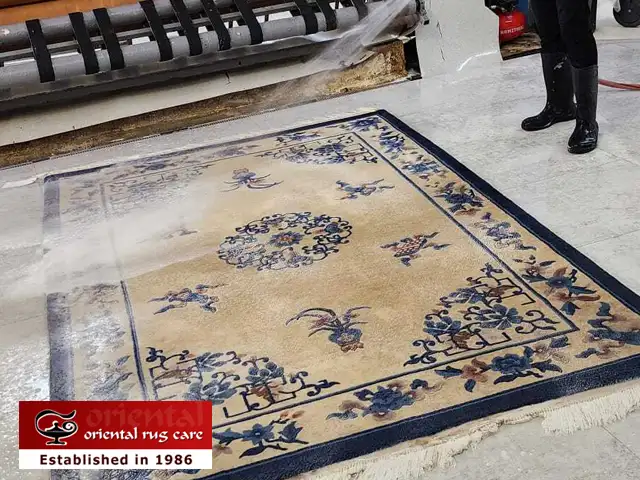 Oriental Rug Pet Stain Cleaning Service