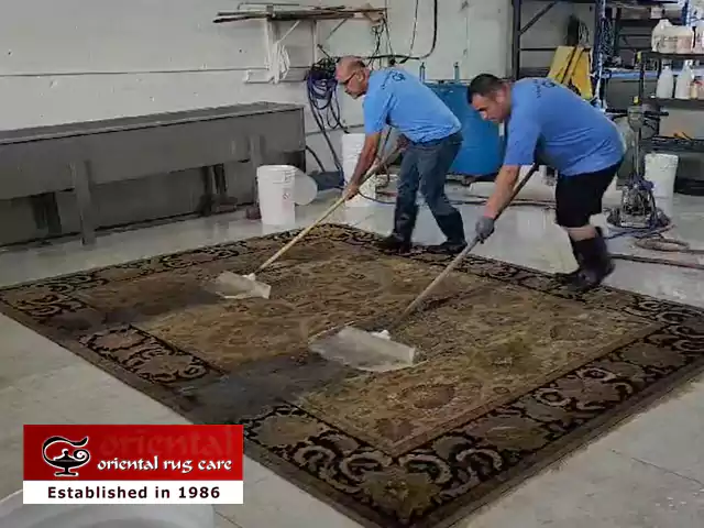 Rug Pet Odor Removal Service